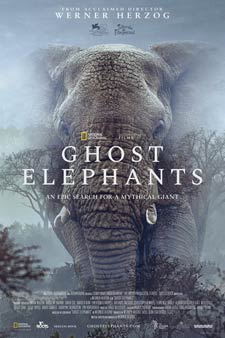 Ghost Elephants movie